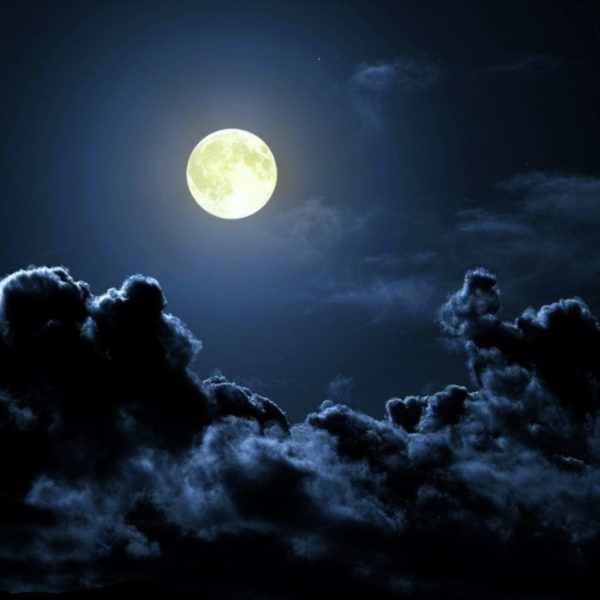 Years of Bone and Ash - Drew's Best Epic Fantasy Series Yet